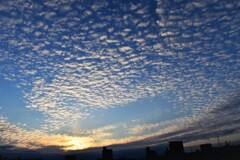 朝の浮雲