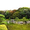 庭園の池と鯉たち