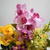 色とりどりの生花