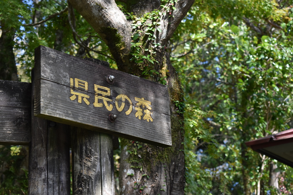 県民の森