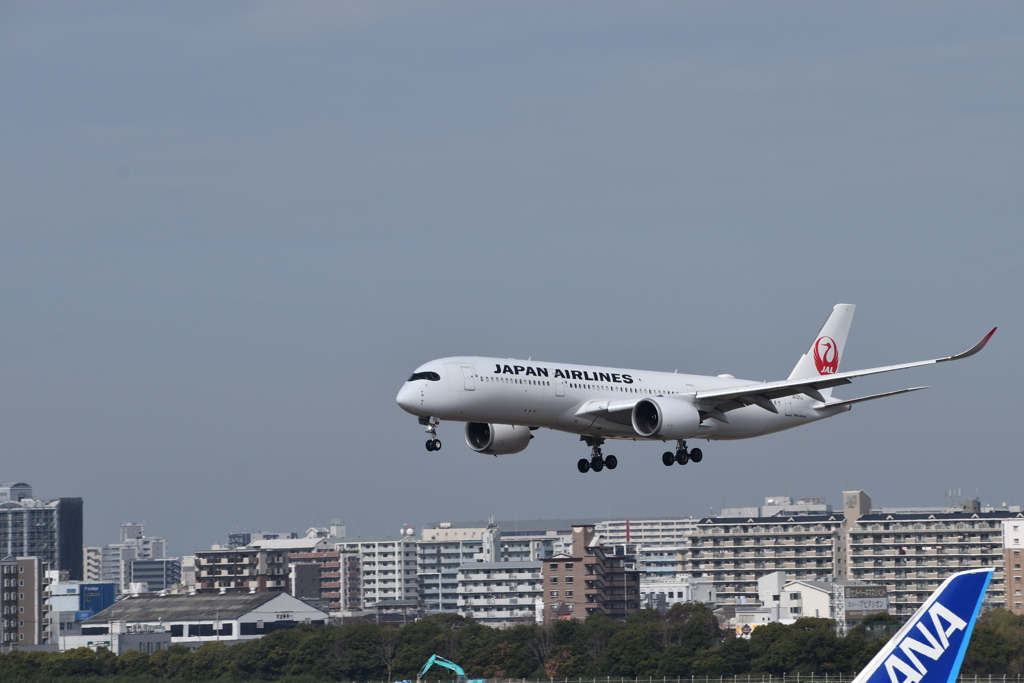JAL  着陸2