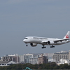 JAL  着陸2