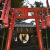 紅葉八幡宮のライトアップ