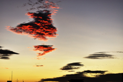 11月の朝日　変わった形の雲