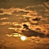 渡り鳥と夕日