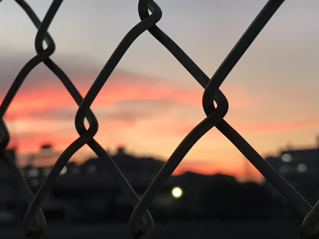 フェンス越えの夕日