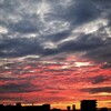 鮮やかな朝焼け