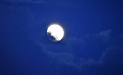 月夜