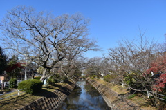 多布施川