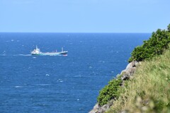 糸島の海