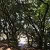 公園の入口