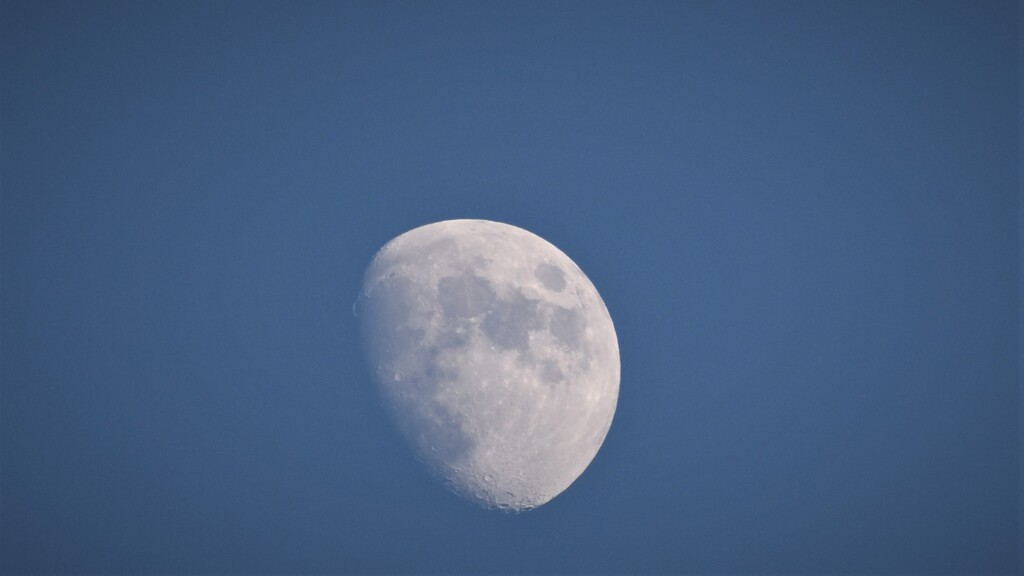 晴れた日のお月様