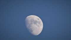 晴れた日のお月様