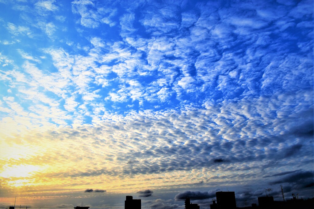 夜明けの空