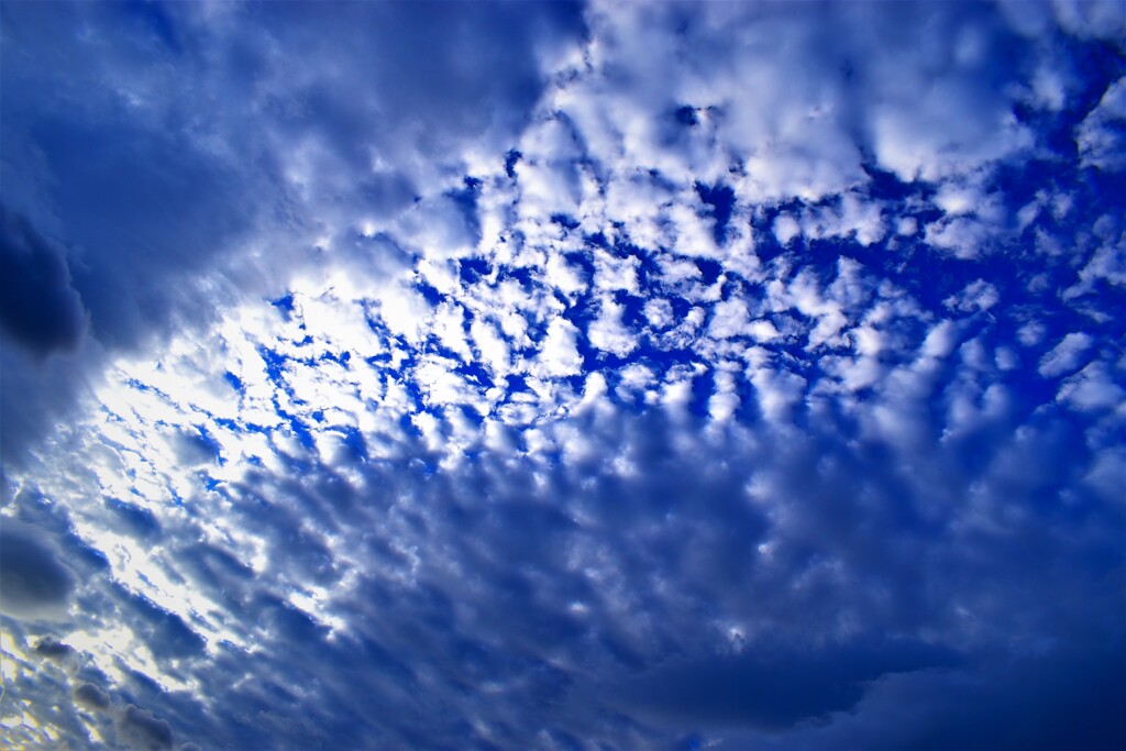 福岡の朝雲