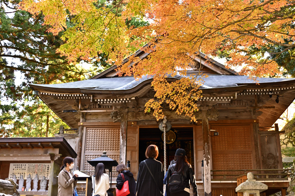 千如寺　紅葉6