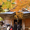 千如寺　紅葉6