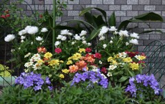 エントランスの花壇にて