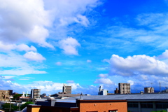 晴れた日の雲