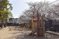 遊具と桜公園