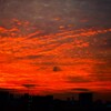 真っ赤な朝空