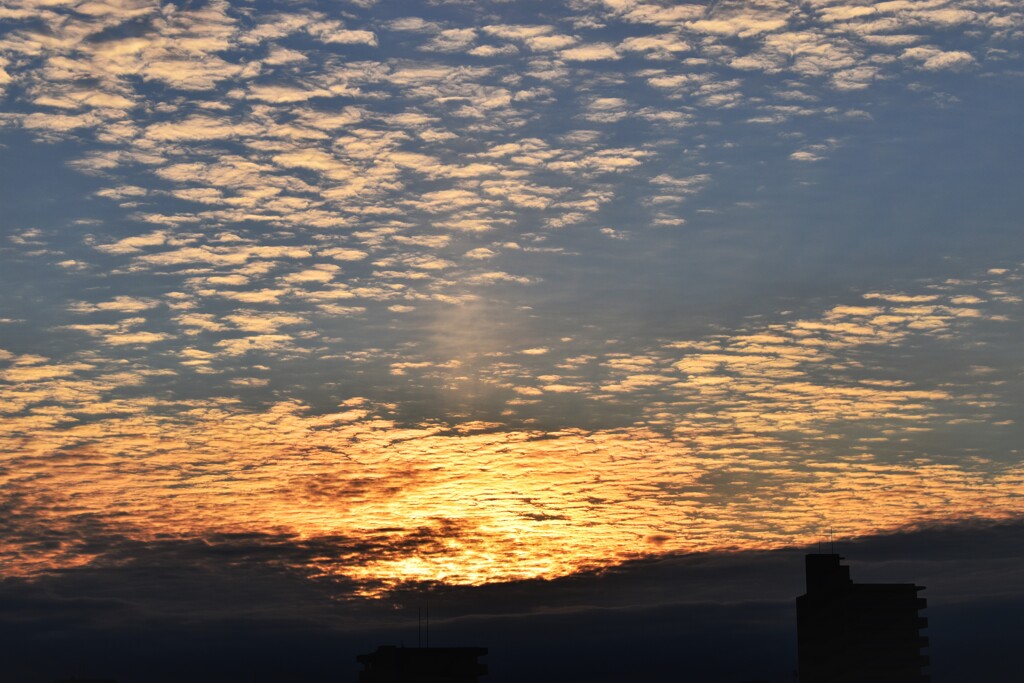 黄金に輝く空