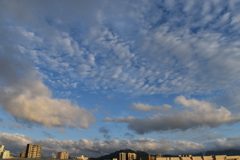 猛暑の夏空