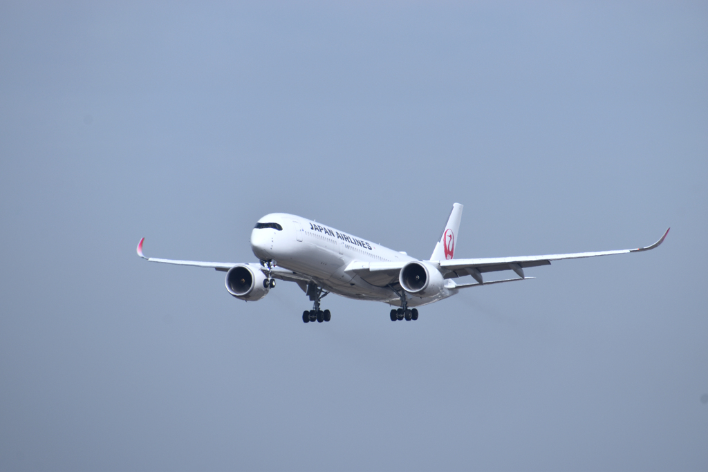 JAL  着陸1