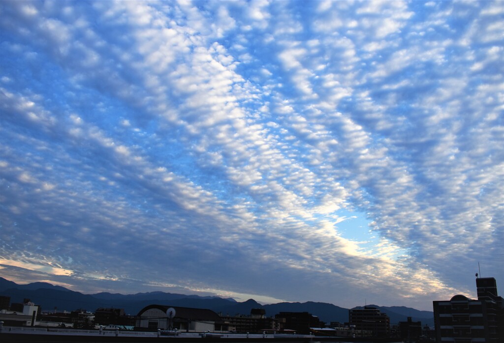 久しぶりの晴れ間