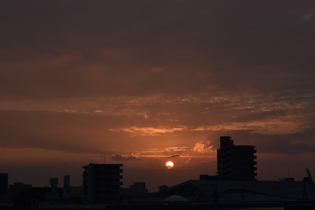 一日の始まり