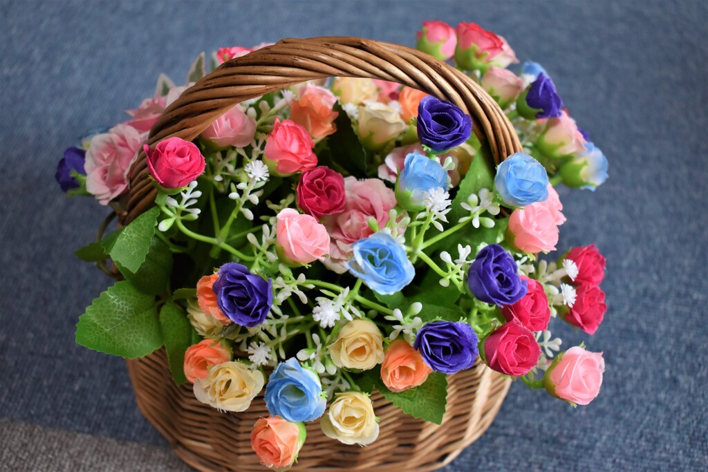 色とりどりの花