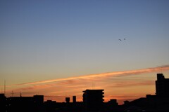 朝の飛行機雲