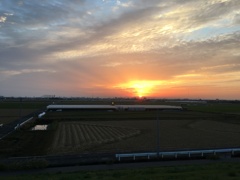 筑後平野(福岡)の朝日