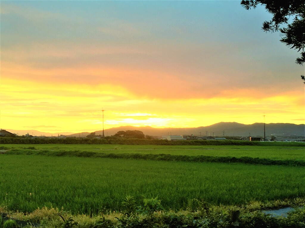 朝焼け