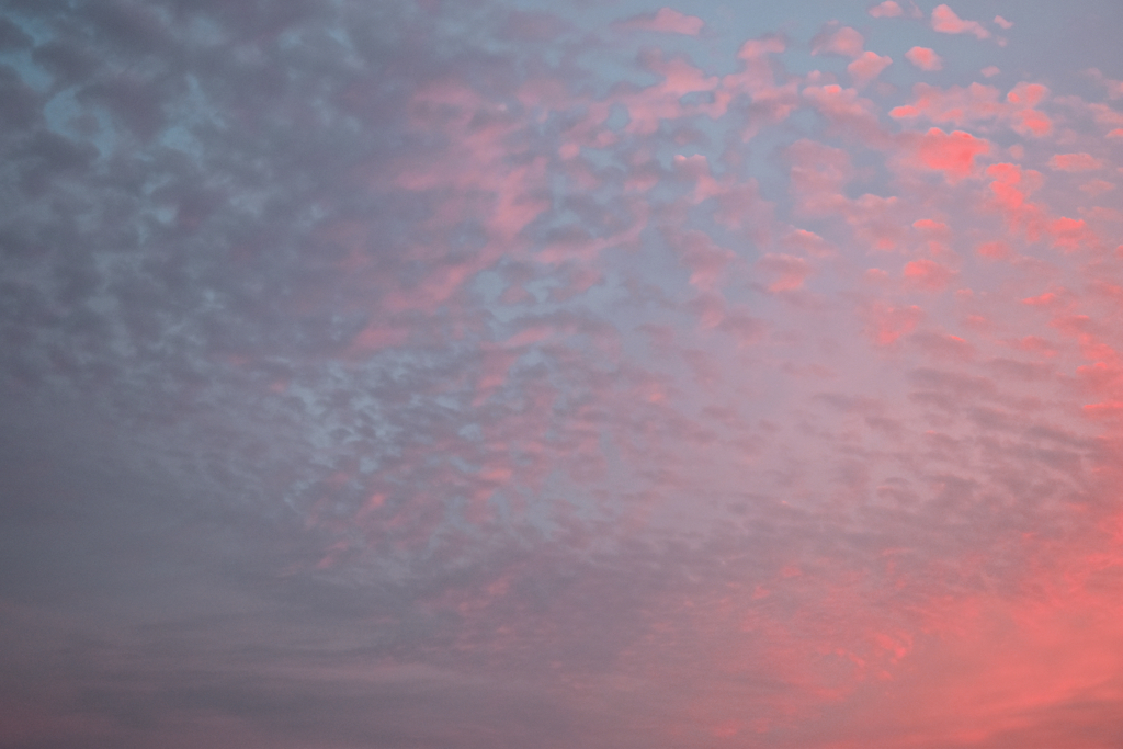 夕方の福岡空2