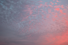 夕方の福岡空2