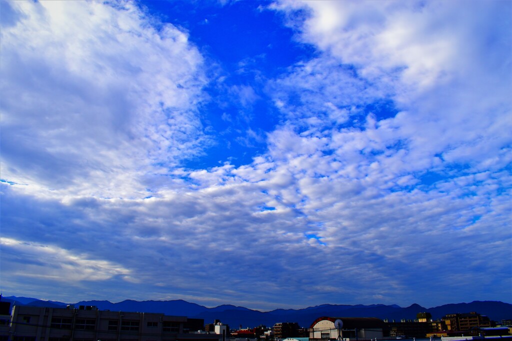 青空とうろこ雲