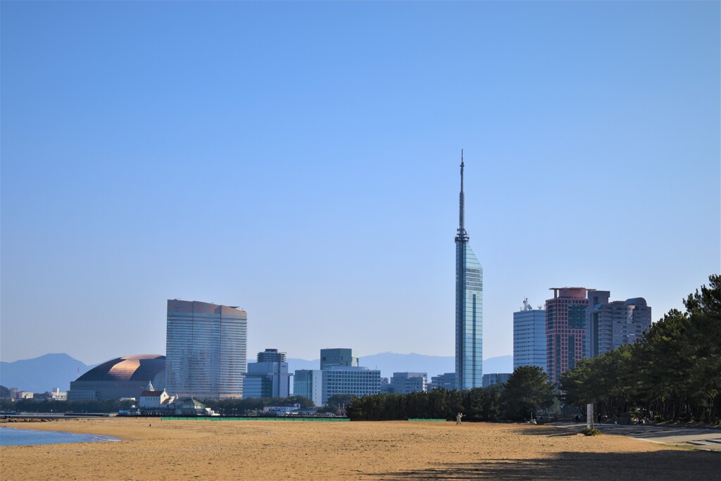 福岡タワーとペイペイドーム