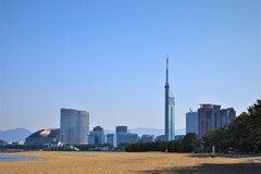福岡タワーとペイペイドーム