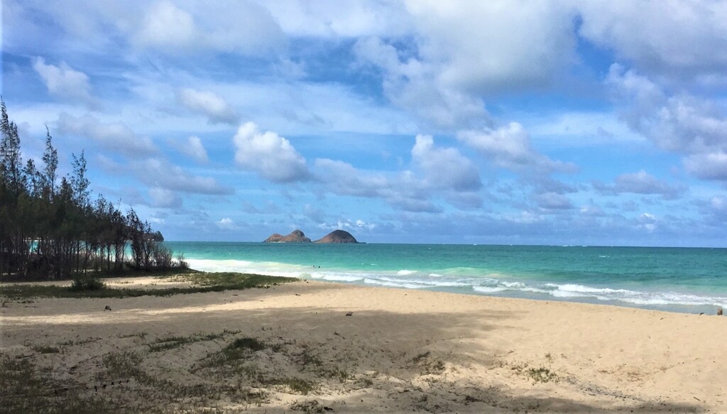 どこかの砂浜