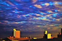 ビルに当たる夕日