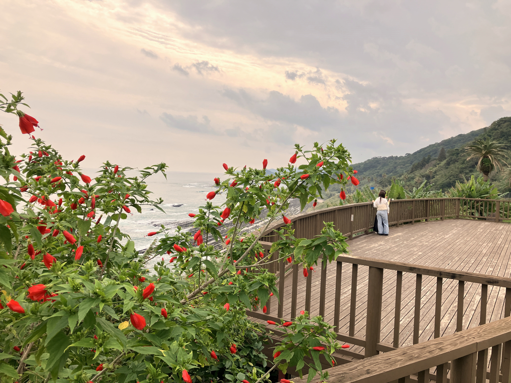 宮崎の海