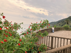 宮崎の海