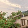 宮崎の海