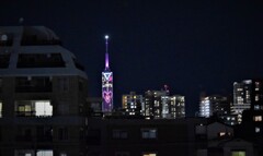 福岡タワー　バレンタインハートマーク