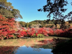 佐賀の紅葉