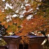 千如寺　紅葉5