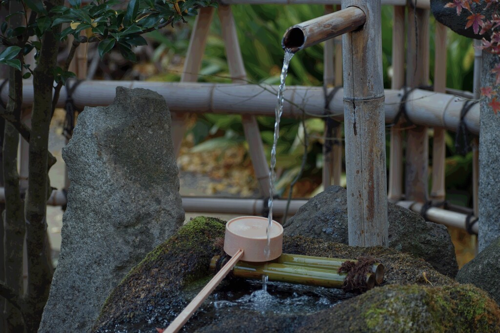 八幡宮の手水