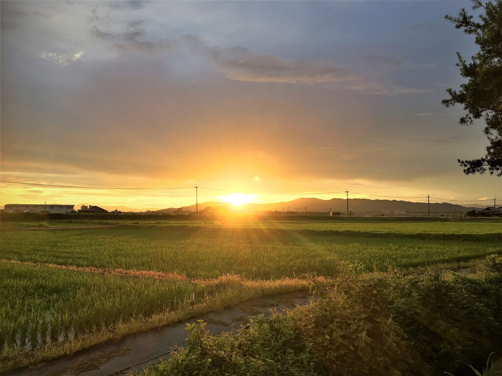 筑後平野の朝日