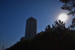 高層マンションと太陽